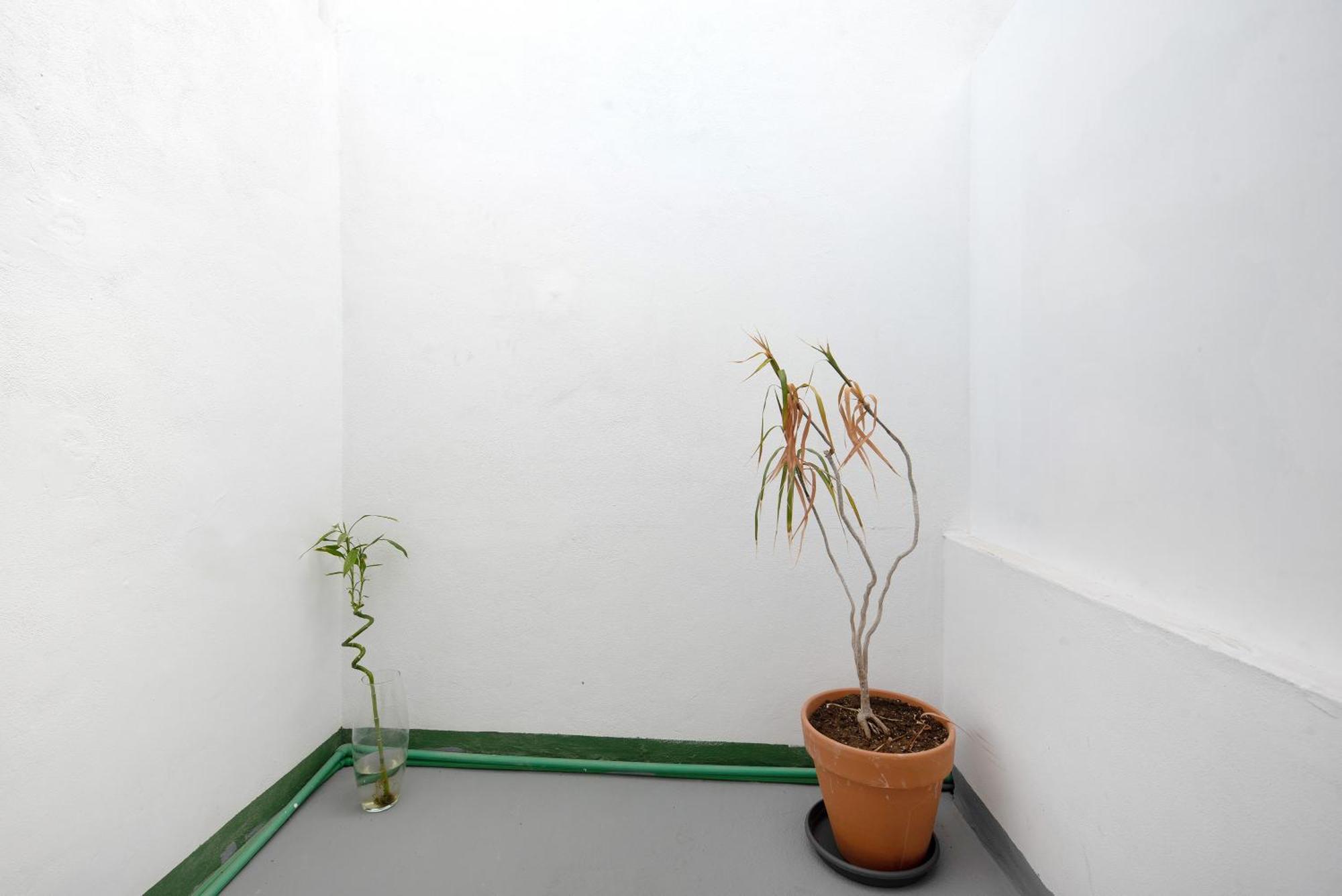 Apartamento Vista La Orotava Luaran gambar